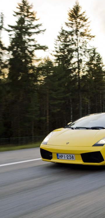 lambo05.jpg