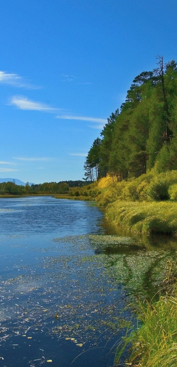 Piękny HD  Widok 80