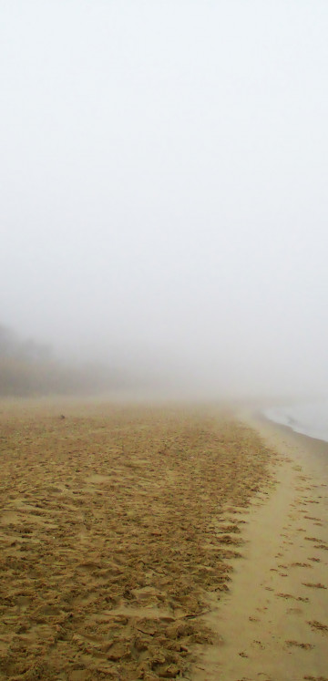 Plaża we mgle