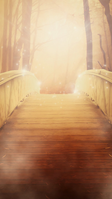 Most w lesie i złote światło