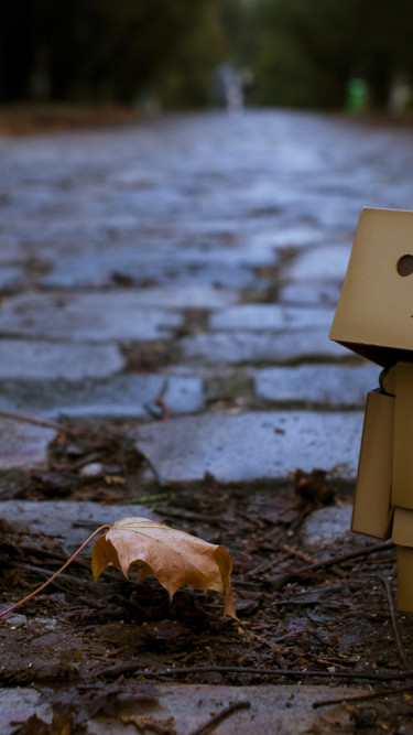 Danboard (14).jpg