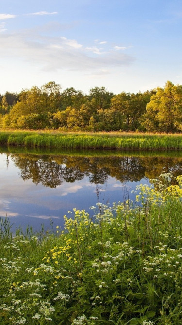 Rzeka i łąka