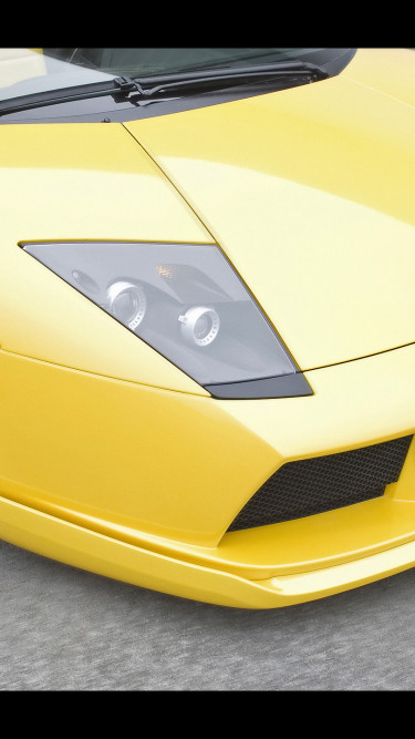 Lamborghini Murcielago Hamann 2007 5.jpg