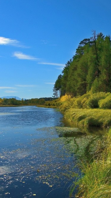 Piękny HD  Widok 80