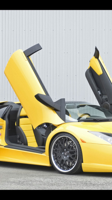 Lamborghini Murcielago Hamann 2007 14.jpg