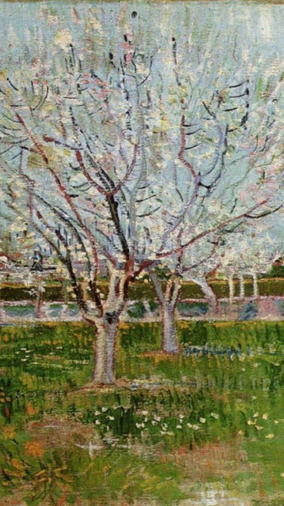 orchard-in-blossom.jpg