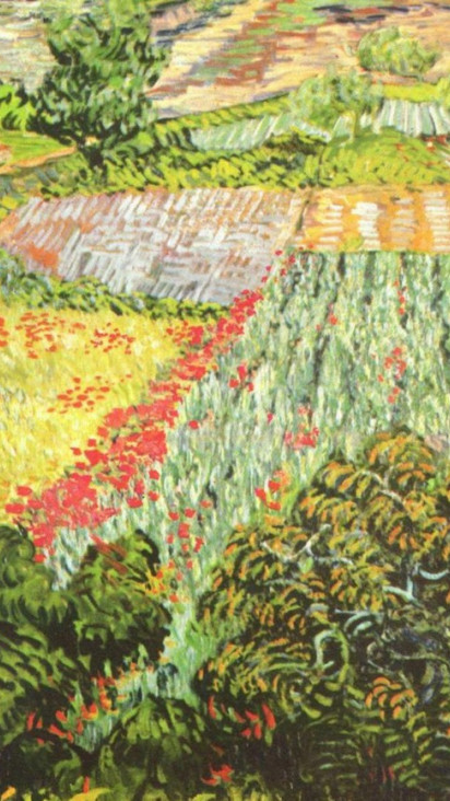 field-of-poppies.jpg