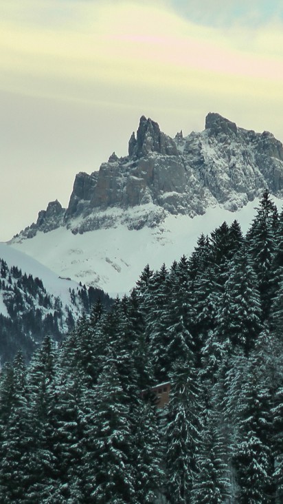 Góry i lasy zimą