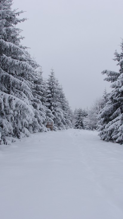 Krajobraz zima 33