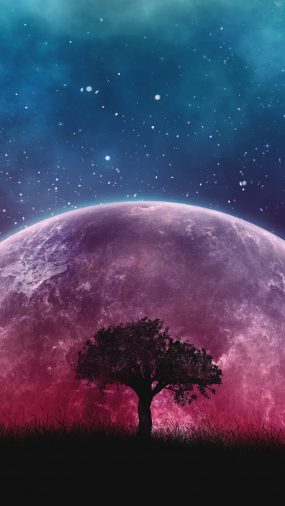 Kosmos, Planeta i drzewo