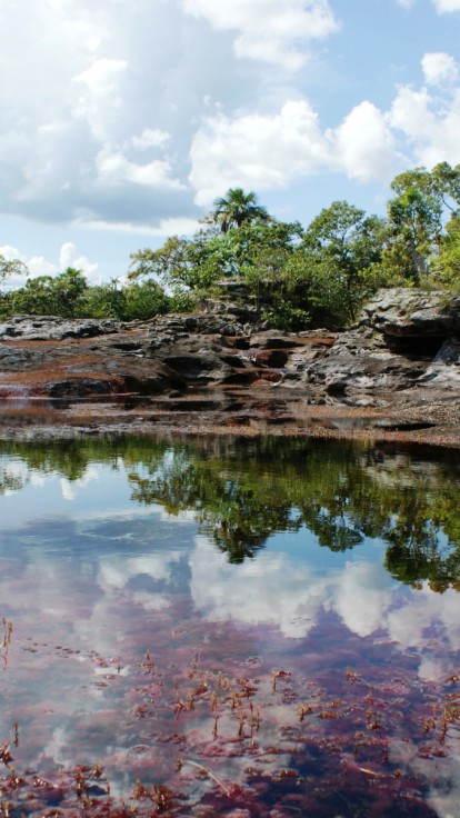 Caño Cristales