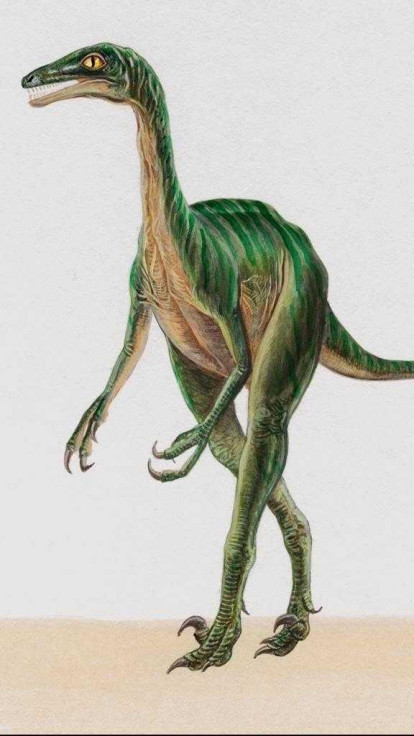 dinozaury (58).jpg