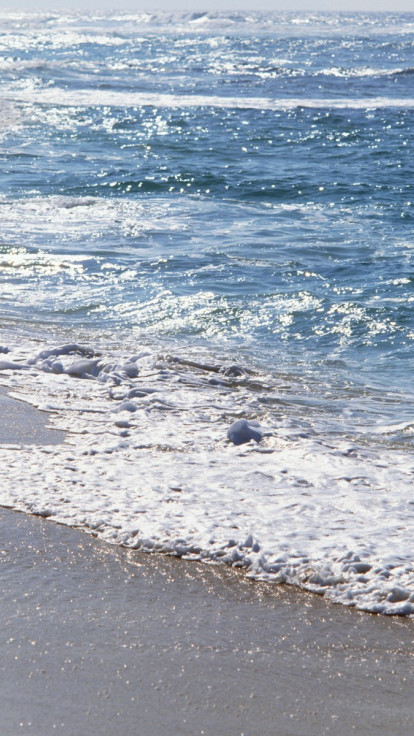 Plaża i spienione fale morskie