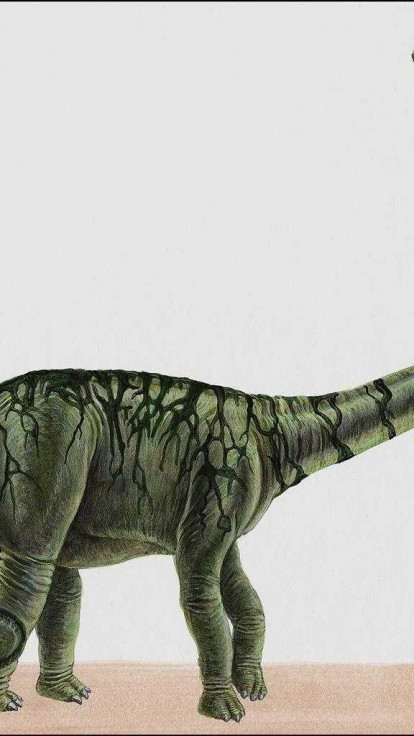 dinozaury (8).jpg