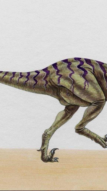 dinozaury (55).jpg
