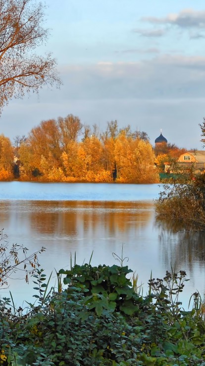 Drzewa nad rzeką