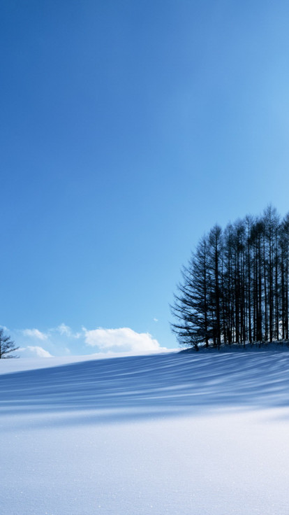 Krajobraz zima 29