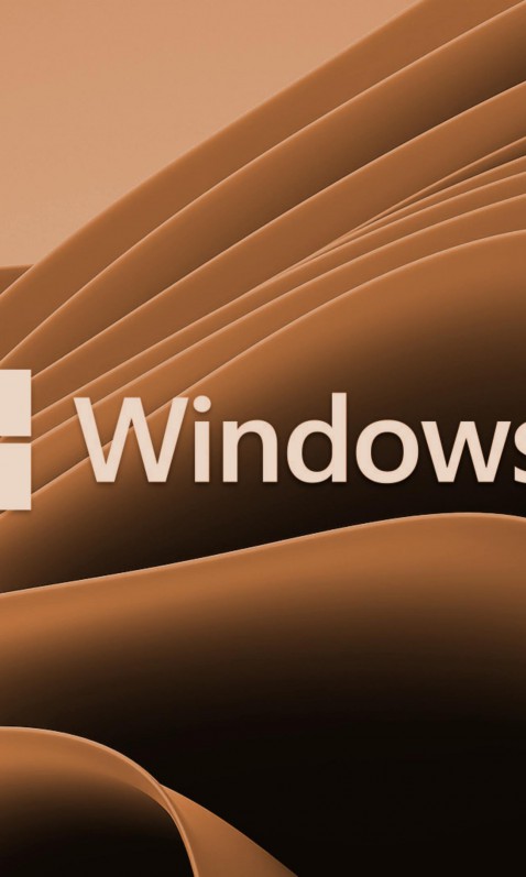 Windows 11 (7)
