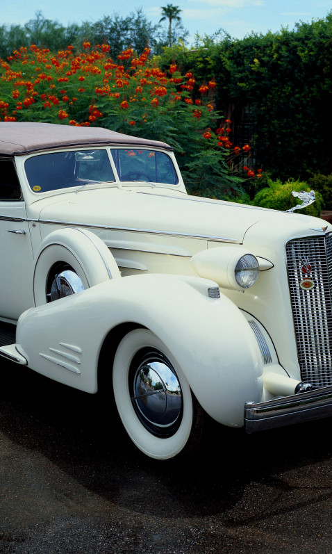 Cadillac V16 Series 90 Town Cabriolet '1936.jpg