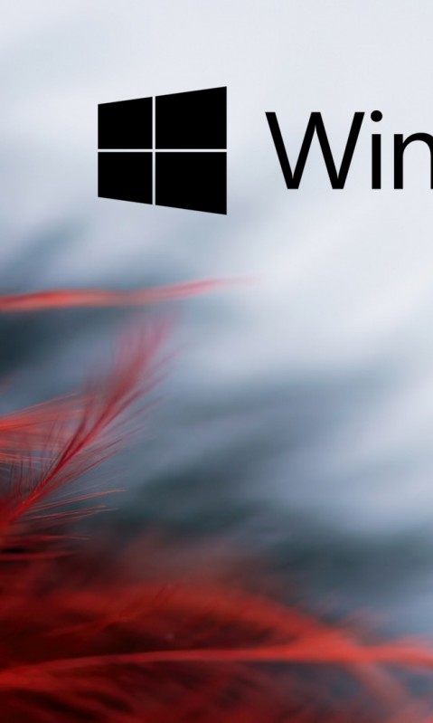 Windows 10