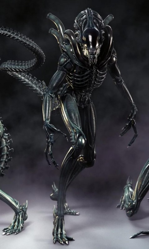 xenomorph