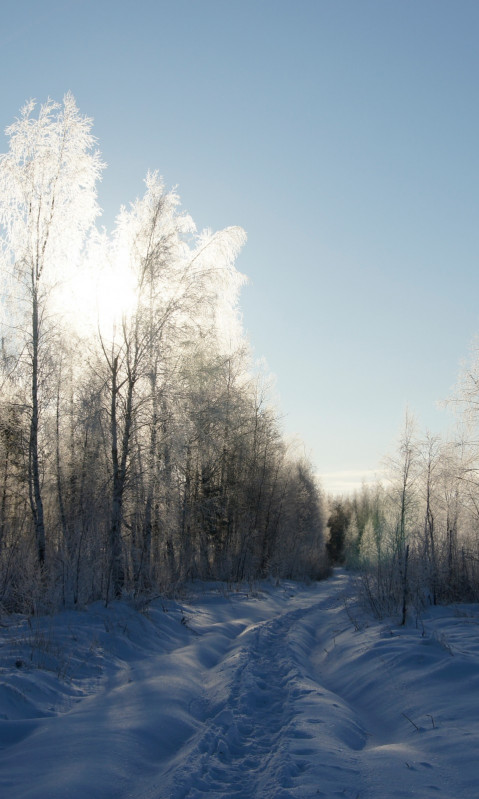 Krajobraz zima 19