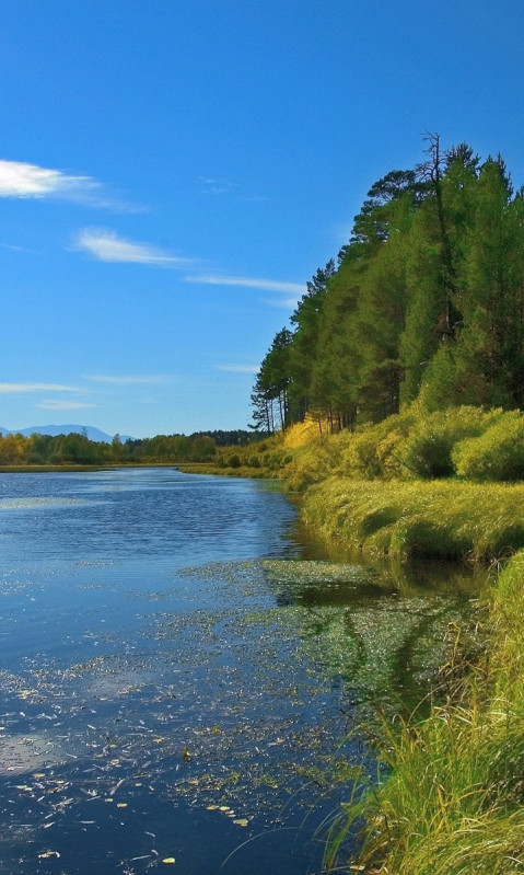 Piękny HD  Widok 80