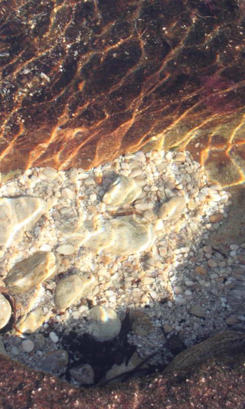 Caño Cristales