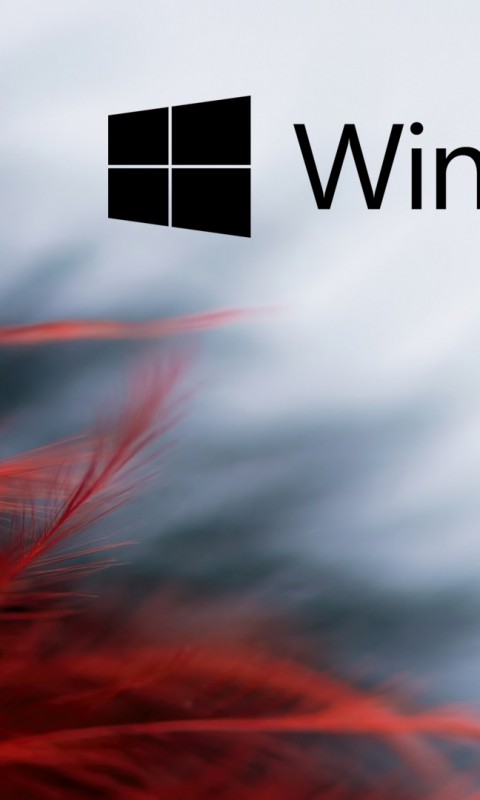 Windows 10