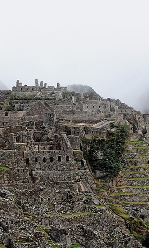 machu pichu