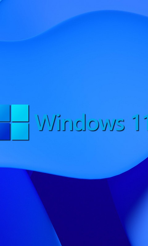 Windows 11 (3)