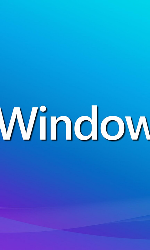 Windows 11 (1)