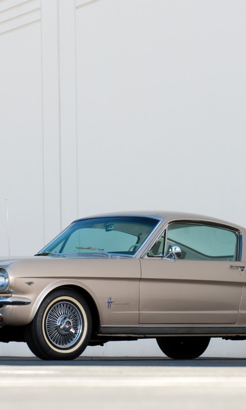 Mustang Fastback '1965.jpg
