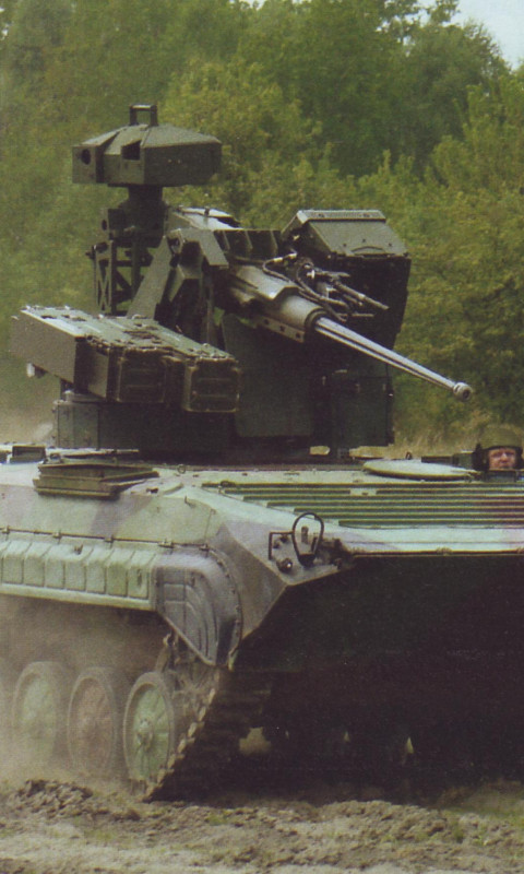 BMP (11).jpg