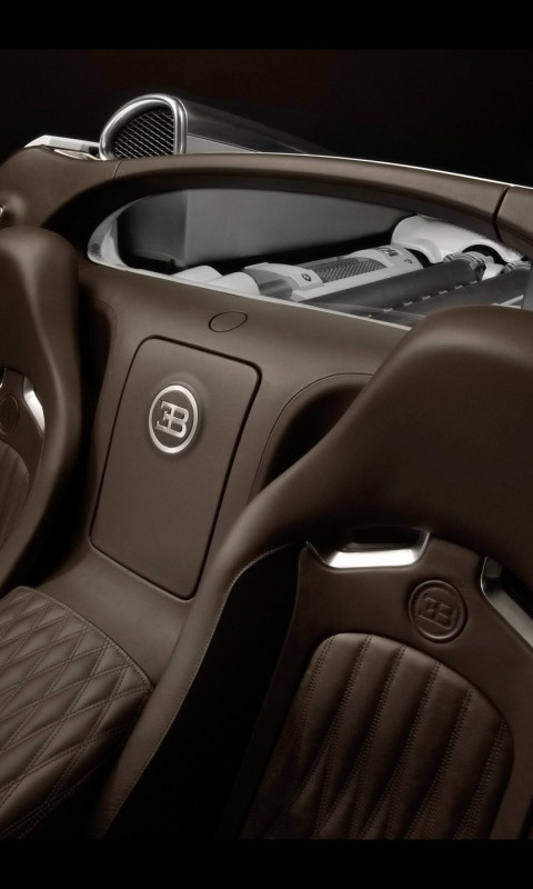 Bugatti (44).jpg