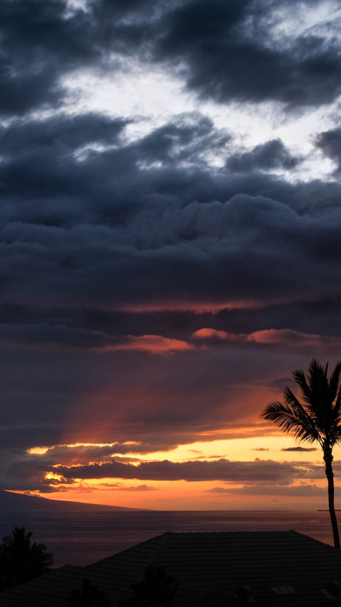 Zachód słońca z palmami i oceanem