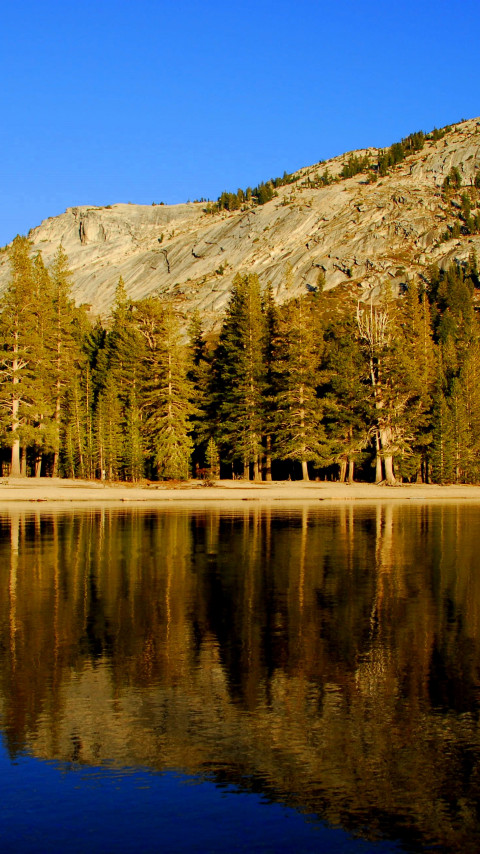 Park Narodowy Yosemite w Kalifornii