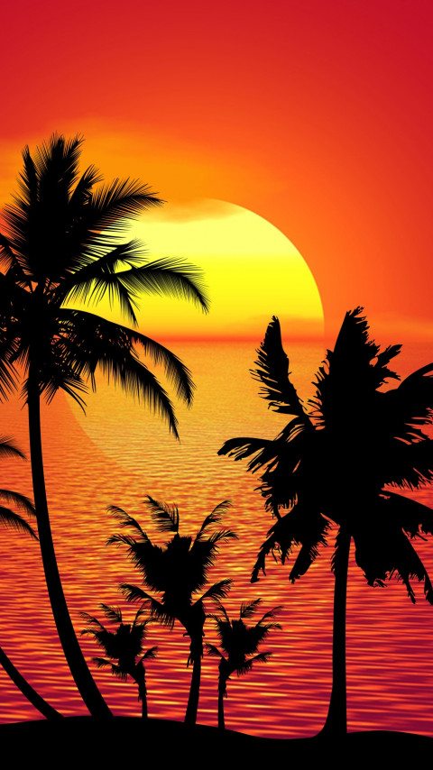 Zachód słońca, tropiki, palmy i ocean