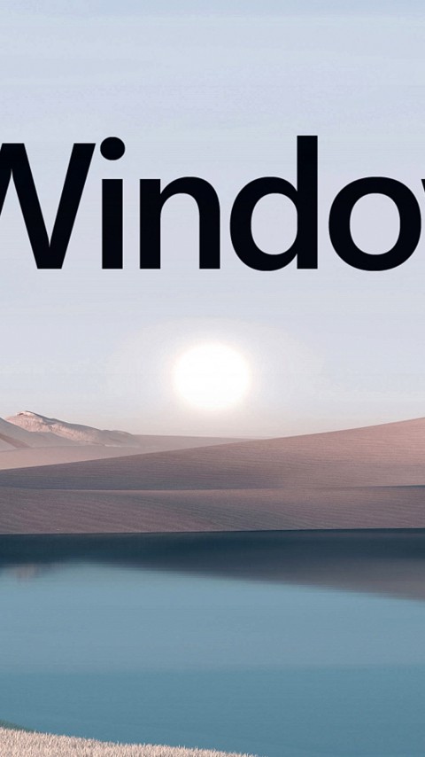 Windows 11