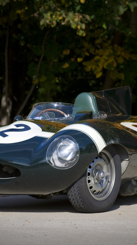 Jaguar D-Type '1954–57.jpg