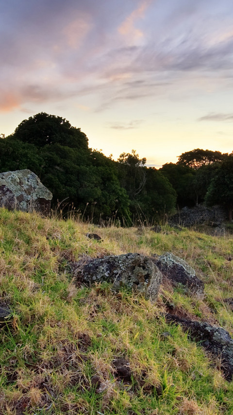 tapeta-panoramiczna (60).jpg