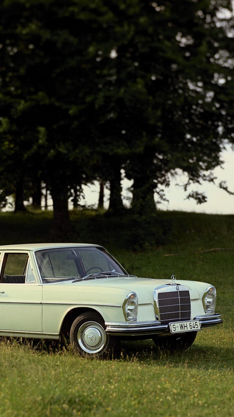 Mercedes-Benz S-Klasse (W111 112).jpg