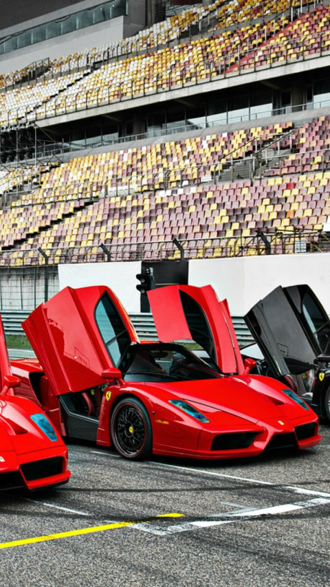Ferrari auto 82