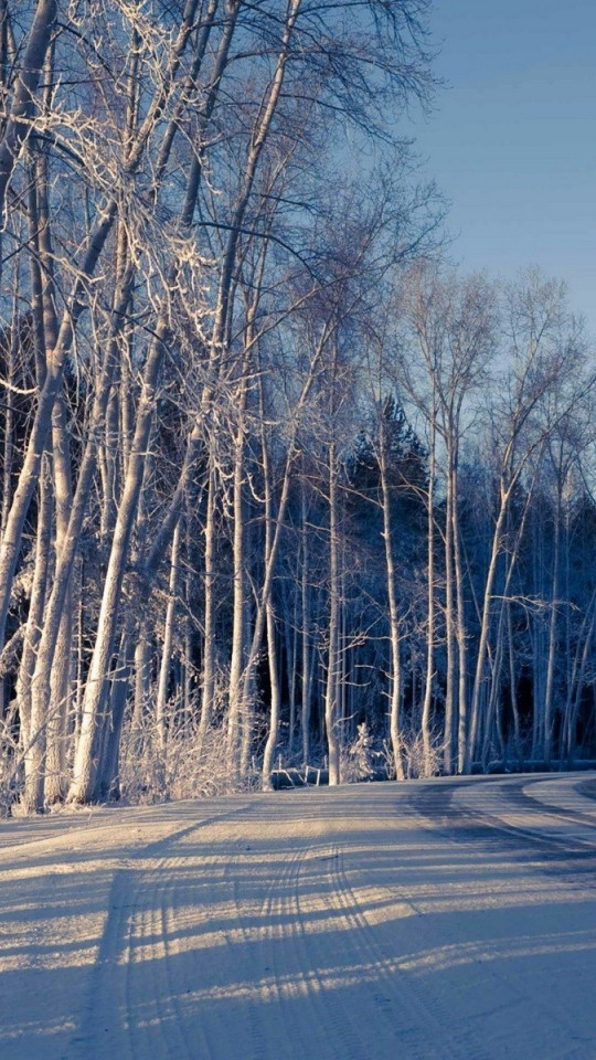 Piękny HD  Widok 120