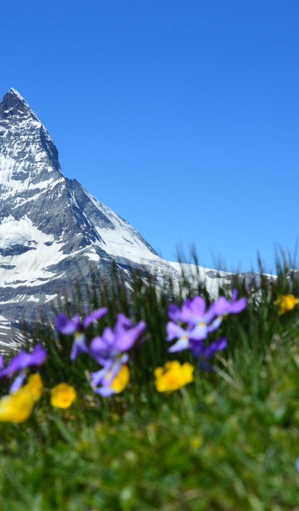 Matterhorn Alpejski w Zermatt