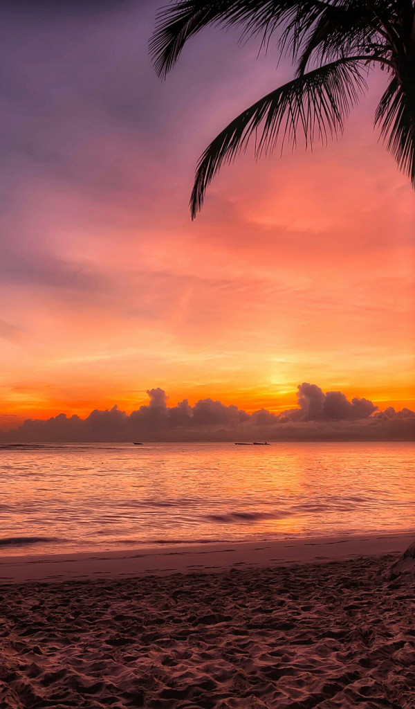 Plaża nad oceanem w Dominikanie o zachodzie słońca