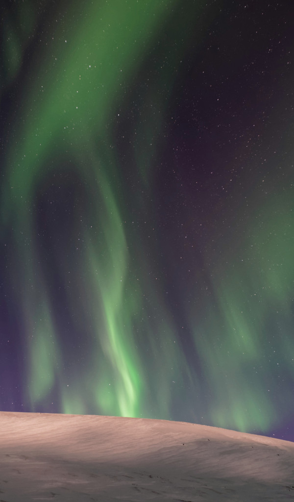 Zorza Polarna pod Aurora Borealis