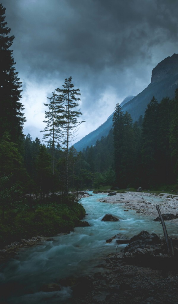 Potok w górach i las