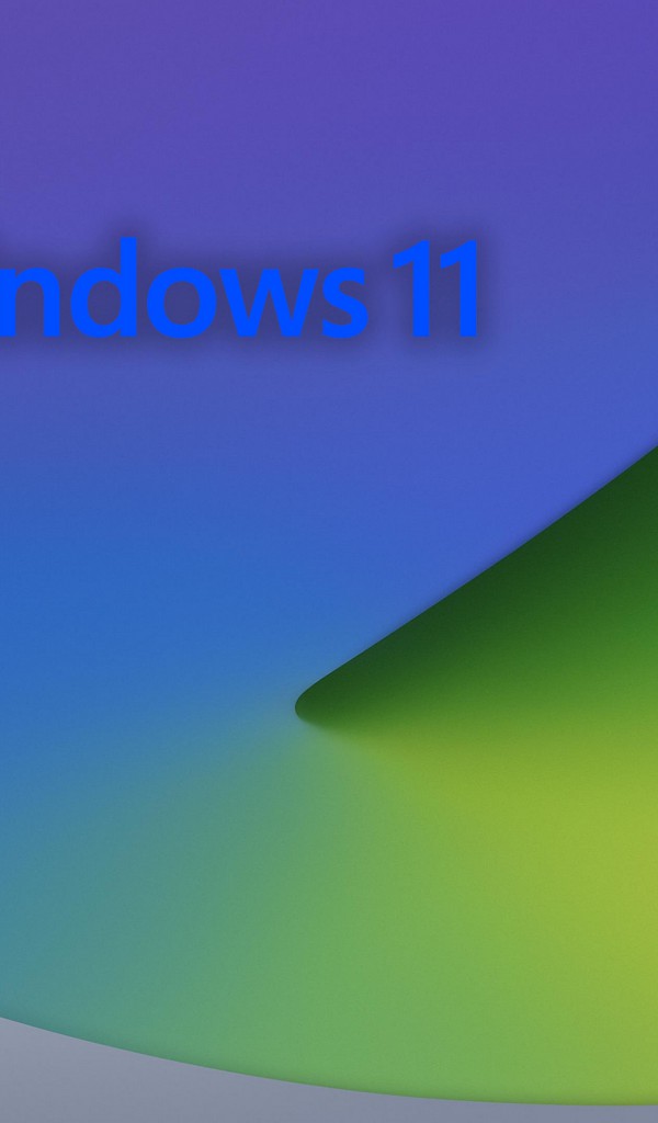 Windows 11 (1)