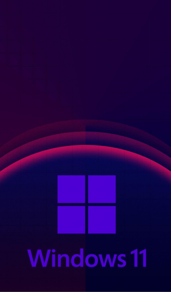 Windows 11 (1)